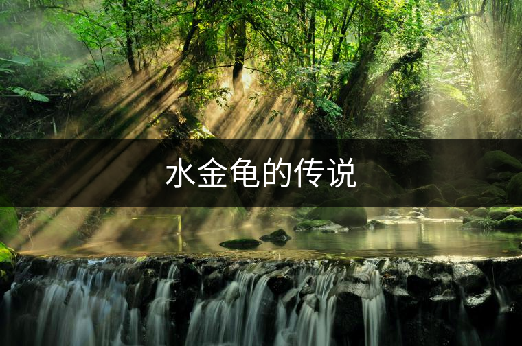 水金龜?shù)膫髡f