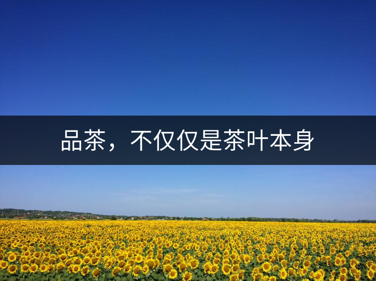 品茶，不僅僅是茶葉本身
