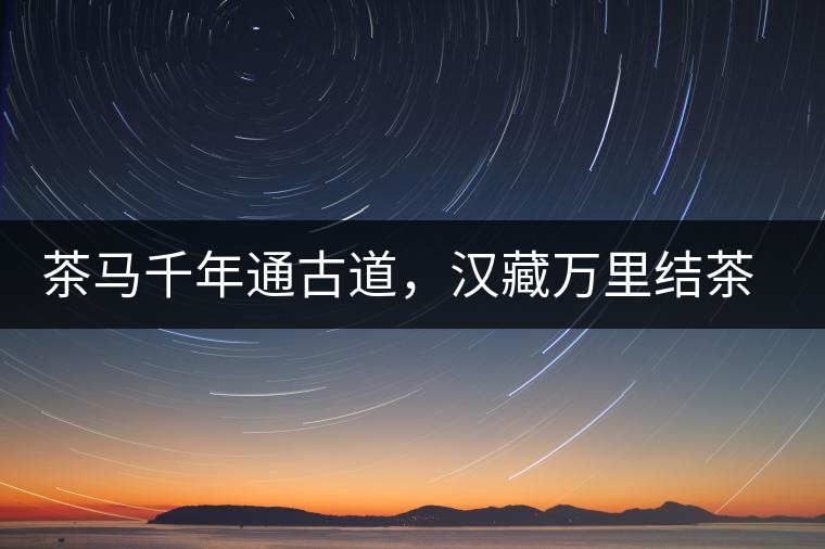 茶馬千年通古道，漢藏萬里結(jié)茶緣