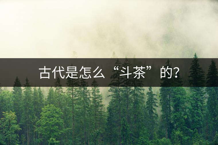 古代是怎么“斗茶”的？