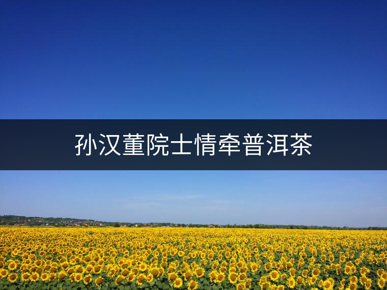 孫漢董院士情牽普洱茶