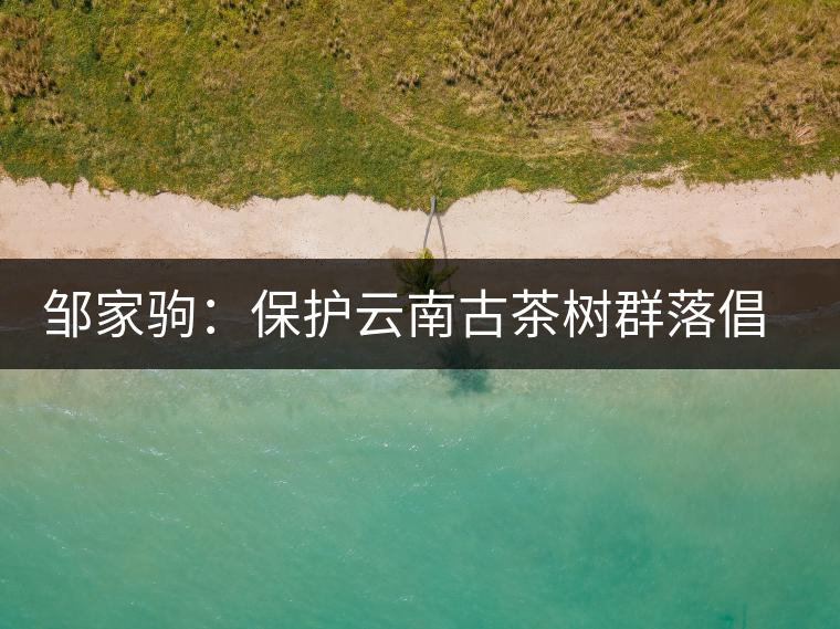 鄒家駒：保護云南古茶樹群落倡議書