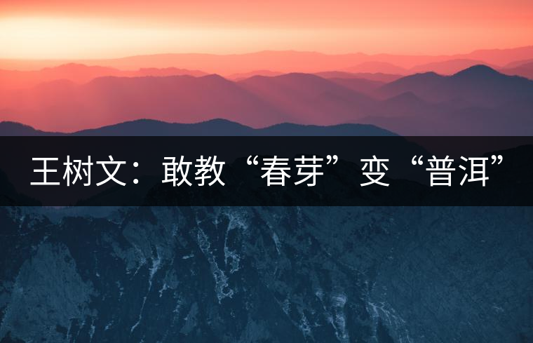 王樹文:敢教“春芽”變“普洱” 王樹文:敢教“春芽”變“普洱”