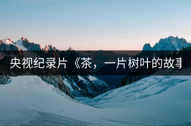 央視紀(jì)錄片《茶，一片樹葉的故事》紀(jì)錄片 昨晚開播