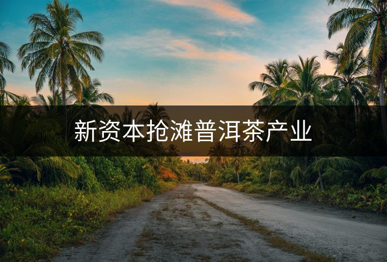 新資本搶灘普洱茶產(chǎn)業(yè)
