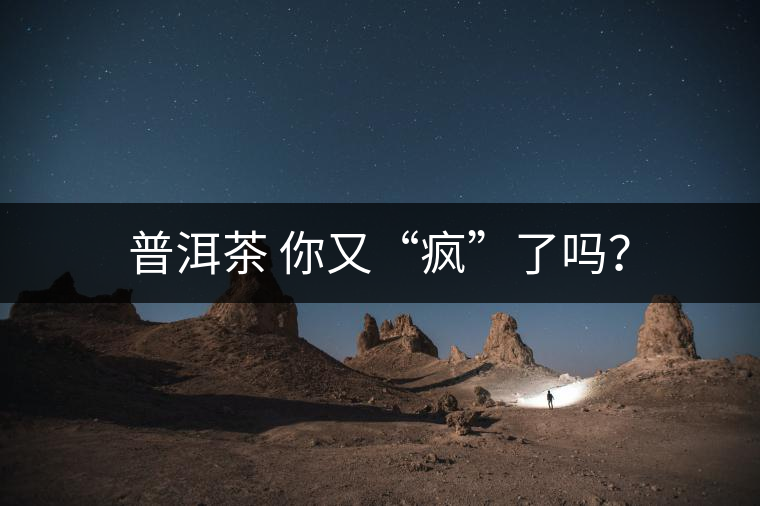 普洱茶 你又“瘋”了嗎？