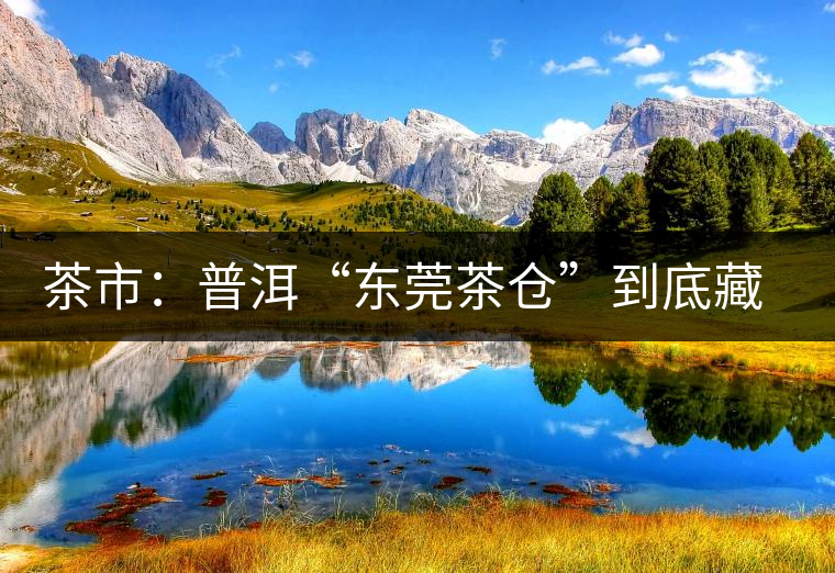 茶市：普洱“東莞茶倉”到底藏給誰喝？