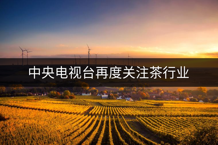 中央電視臺再度關注茶行業(yè)