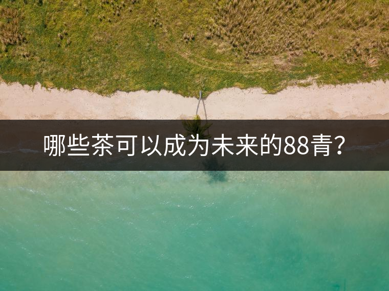 哪些茶可以成為未來的88青? 哪些茶可以成為未來的88青?