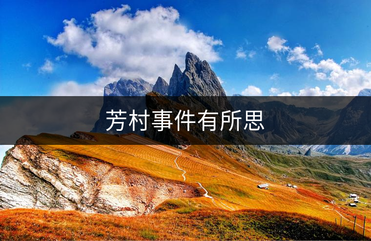 芳村事件有所思
