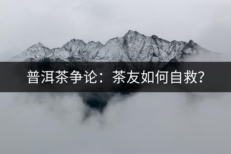普洱茶爭論：茶友如何自救？