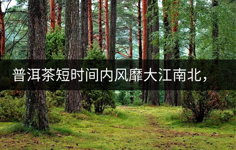 普洱茶短時(shí)間內(nèi)風(fēng)靡大江南北，總有一個(gè)理由吧？