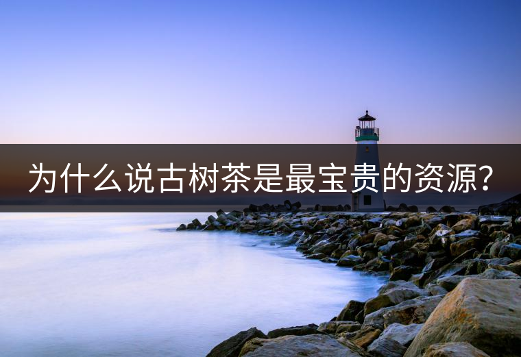 為什么說古樹茶是最寶貴的資源？