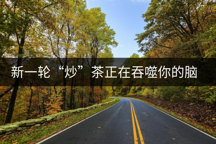 新一輪“炒”茶正在吞噬你的腦子，茶葉收藏不宜提倡