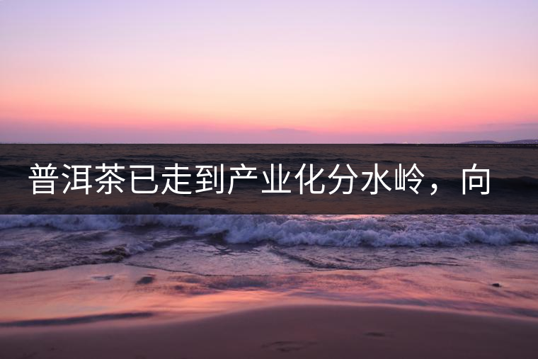 普洱茶已走到產(chǎn)業(yè)化分水嶺，向左還是向右？