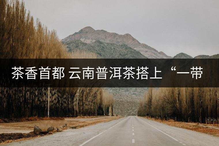 茶香首都 云南普洱茶搭上“一帶一路” 茶香首都 云南普洱茶搭上“一帶一路”
