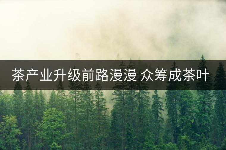 茶產(chǎn)業(yè)升級(jí)前路漫漫 眾籌成茶葉營(yíng)銷(xiāo)新寵