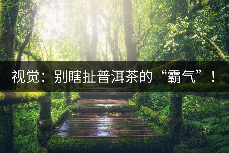 視覺：別瞎扯普洱茶的“霸氣”！偽大師！