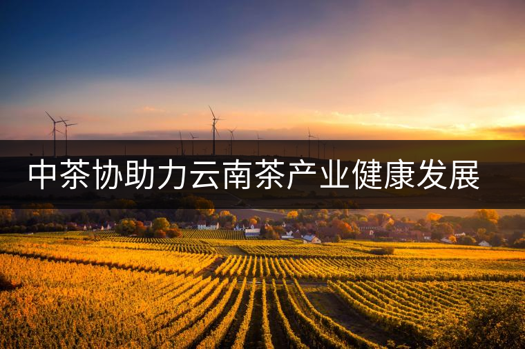 中茶協(xié)助力云南茶產(chǎn)業(yè)健康發(fā)展——第十一屆中國云南普洱茶國際博覽交易會隆重舉行 中茶協(xié)助力云南茶產(chǎn)業(yè)健康發(fā)展——第十一屆中國云南普洱茶國際博覽交易會隆重舉行