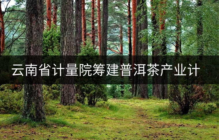 云南省計(jì)量院籌建普洱茶產(chǎn)業(yè)計(jì)量測(cè)試中心