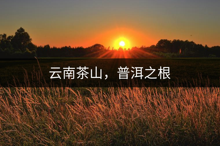 云南茶山，普洱之根