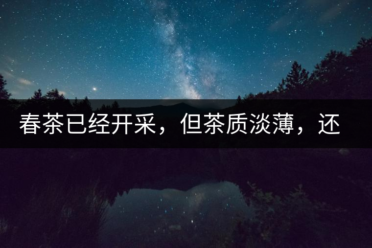 春茶已經(jīng)開采，但茶質(zhì)淡薄，還需一兩周