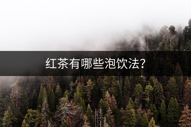 紅茶有哪些泡飲法？