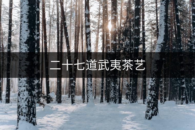 二十七道武夷茶藝 二十七道武夷茶藝