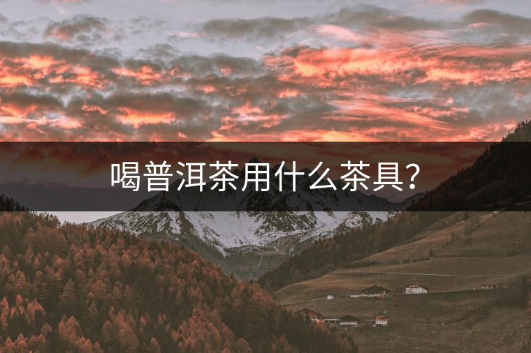 喝普洱茶用什么茶具？