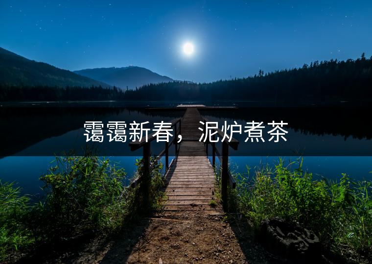 靄靄新春，泥爐煮茶