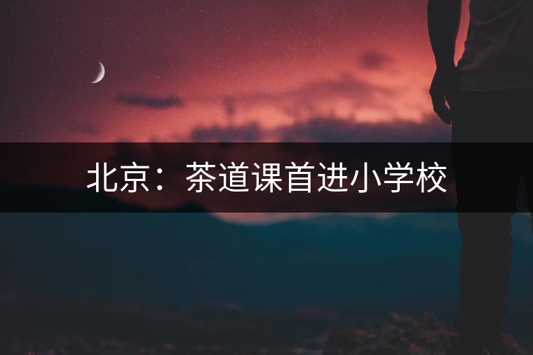 北京:茶道課首進(jìn)小學(xué)校 北京:茶道課首進(jìn)小學(xué)校