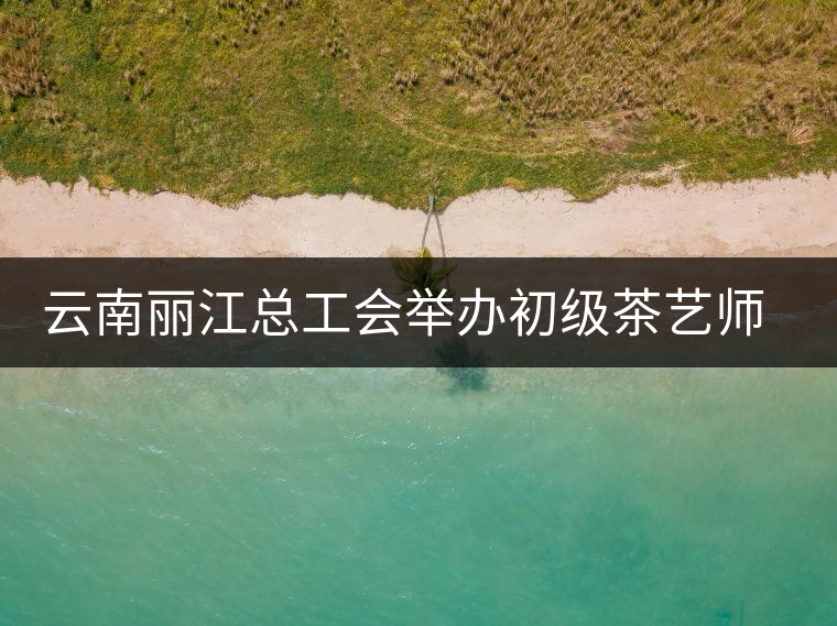 云南麗江總工會(huì)舉辦初級(jí)茶藝師培訓(xùn) 云南麗江總工會(huì)舉辦初級(jí)茶藝師培訓(xùn)