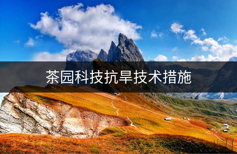 茶園科技抗旱技術(shù)措施 茶園科技抗旱技術(shù)措施