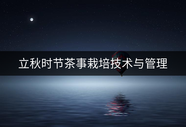 立秋時(shí)節(jié)茶事栽培技術(shù)與管理