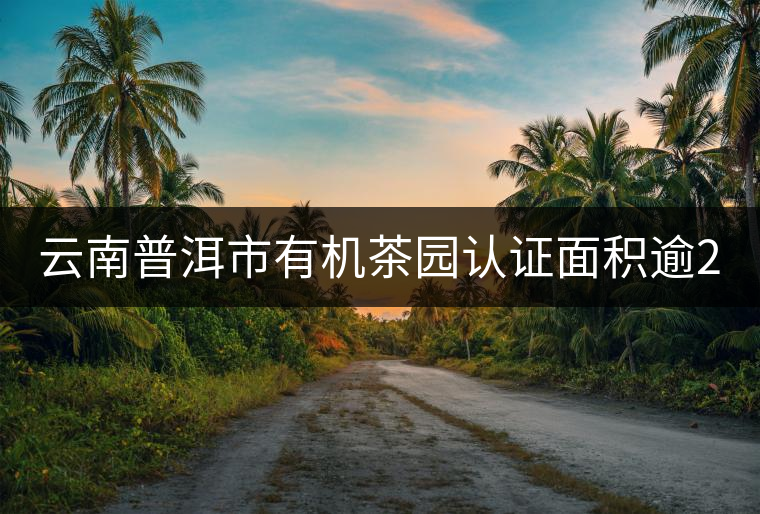 云南普洱市有機茶園認證面積逾20萬畝