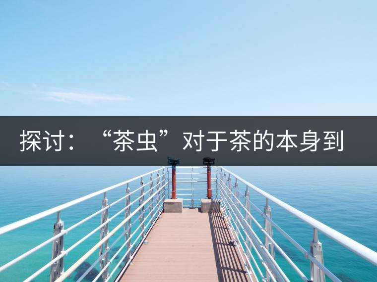 探討：“茶蟲”對(duì)于茶的本身到底是好是壞？