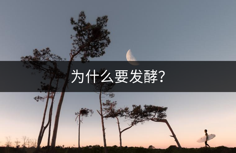 為什么要發(fā)酵？