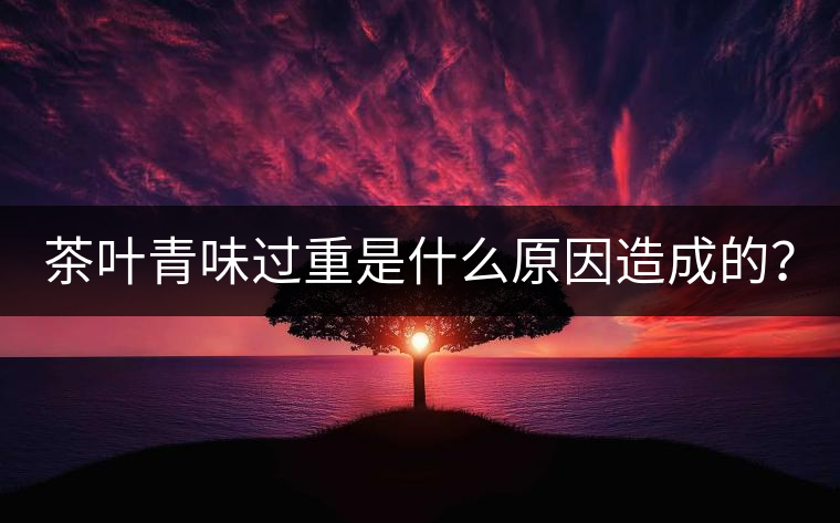 茶葉青味過重是什么原因造成的？