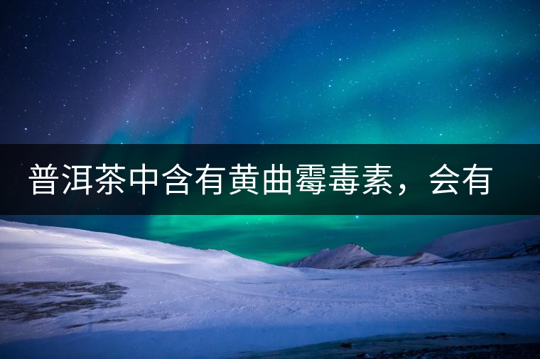 普洱茶中含有黃曲霉毒素，會(huì)有致癌的危險(xiǎn)？終于有明確的答案了