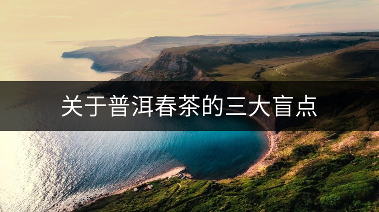 關于普洱春茶的三大盲點