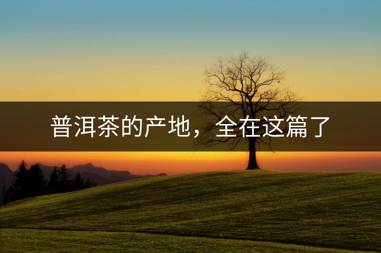 普洱茶的產(chǎn)地，全在這篇了