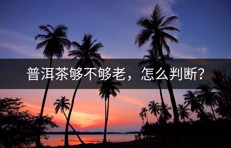 普洱茶夠不夠老，怎么判斷？