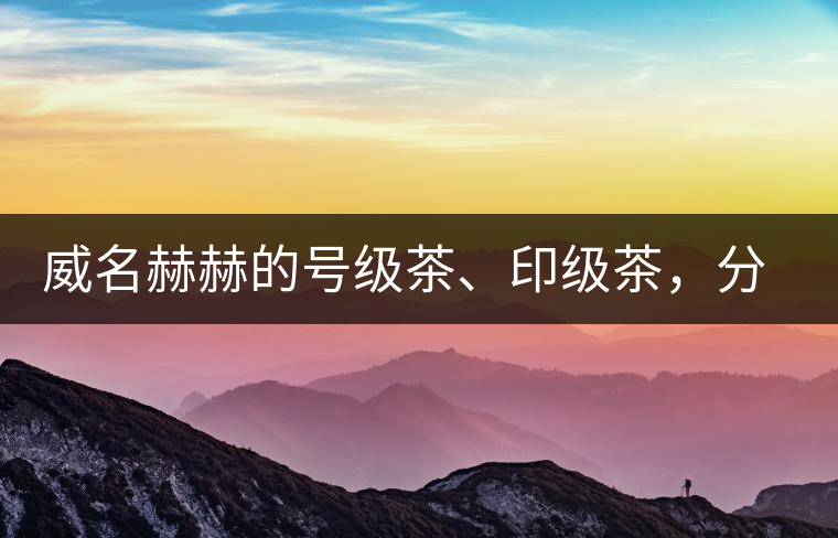 威名赫赫的號級茶、印級茶，分別是些什么普洱茶？