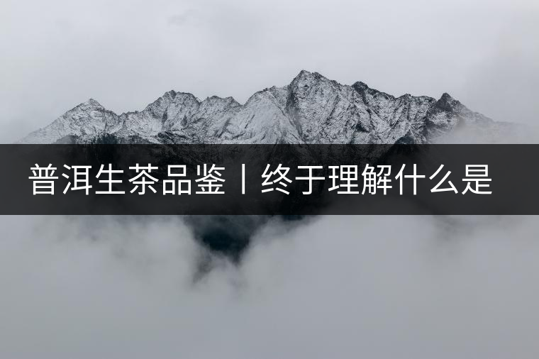 普洱生茶品鑒丨終于理解什么是“醇厚、耐泡，回甘”了
