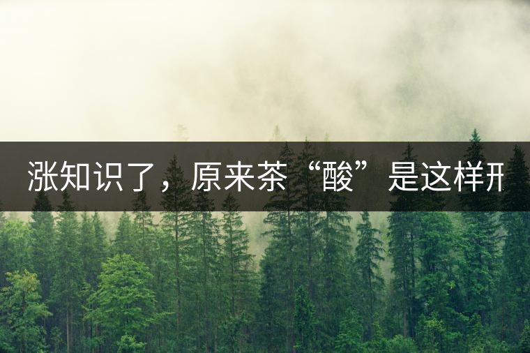 漲知識了，原來茶“酸”是這樣形成的！