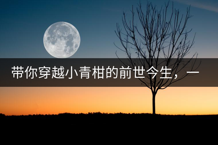 帶你穿越小青柑的前世今生，一文看透茶界“萌寵”的來歷