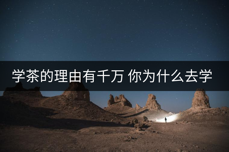 學茶的理由有千萬 你為什么去學茶？