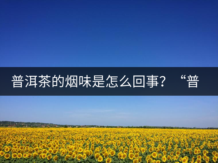 普洱茶的煙味是怎么回事？“普洱教父”白水清最新解析！