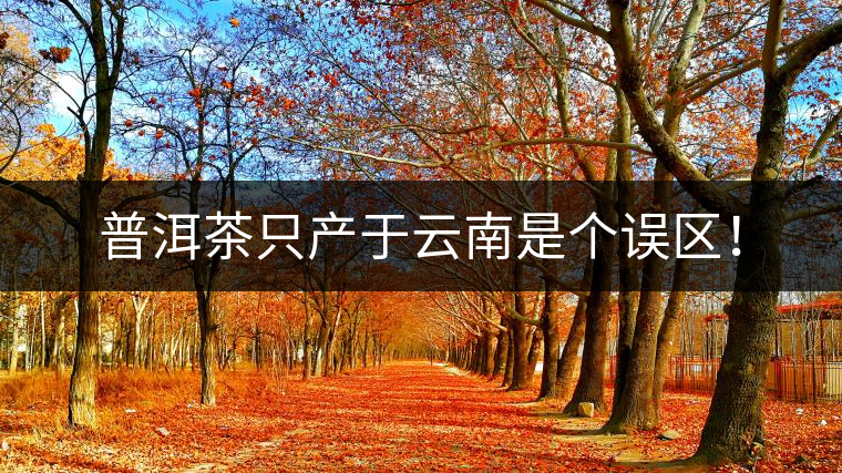 普洱茶只產(chǎn)于云南是個誤區(qū)！