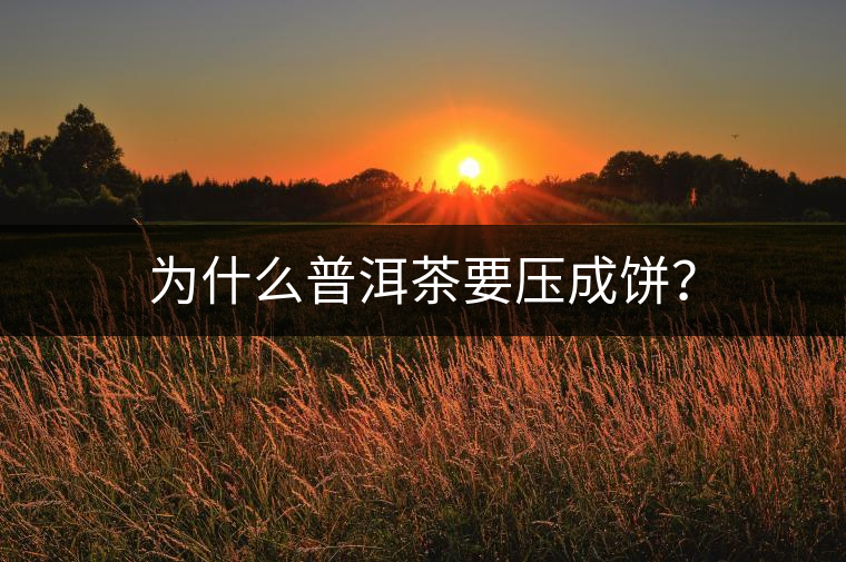 為什么普洱茶要壓成餅？
